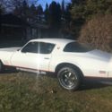 1981 Pontiac Formula Firebird