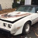 1981 Pontiac Special Edition Turbo NASCAR Pace Car Trans Am w/ Recaro interior