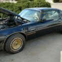 1981 Pontiac Trans Am  100% Survivor.  PHS documents with window sticker.