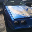 1981 Pontiac Trans Am 301 Turbo