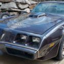 1981 Pontiac Trans AM 4.9l