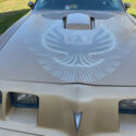 1981 Pontiac Trans Am coupe 2-door 4.9l