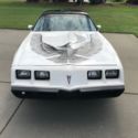 1981 pontiac Trans Am Daytona