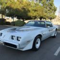 1981 Pontiac Trans Am Firebird
