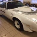 1981 Pontiac Trans Am Official Pace Car