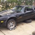 1981 Pontiac Trans Am - Project Car