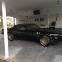 1981 Pontiac Trans am SE Y84