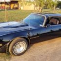 1981 Pontiac Trans Am Special Edition Y84 WS6 4.9 Turbo T-Top