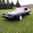 1981 Pontiac Trans Am    T-Top  350V8  4 Speed