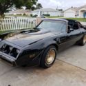 1981 Pontiac Trans Am Turbo SE Y84 W56 "Bandit" Triple Black