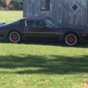 1981 Pontiac Trans Am Turbo