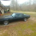 1981 Pontiac Transam Coupe Black RWD Automatic TRANS AM