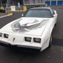 1981 Pontiac Turbo Trans Am Nascar Pace Car