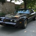 1981 Pontiac Turbo Trans Am Survivor