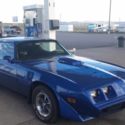 1981 pont.trans am