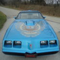 1981 TRANS AM - 36.234 ACTUAL MILES - GORGEOUS CAR - 400 ENGINE - STUNNING CAR