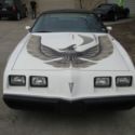 1981 Trans Am Daytona 500 SE