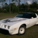 1981 Trans Am Pace Car Nascar