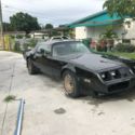 1981 Transam  a collectors item