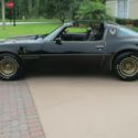 1981 TURBO TRANS AM  BANDIT LIKE NEW INSIDE AND OUT IMMACULATE ! ORIGINAL  CAR !