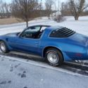 1981 TURBO TRANS AM LIKE NEW ! 41,553 ACTUAL MILES  WINDOW STICKER ALL DOCUMENTS