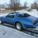 1981 TURBO TRANS AM  LIKE NEW   41,553 MILES FULL DOCUMENTATION CAR GORGEOUS !