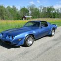 1981 TURBO TRANS AM  LIKE NEW  41,553 MILES FULL DOCUMENTATION  SHOWROOM COND !