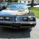 1981 Turbo Trans Am S/E