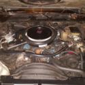 1981 z28