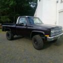 1982 Chevrolet C/K 10 Series K10 Short box 4WD Standard Cab SB 4-Speed 4WD