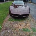 1982 Chevrolet Corvette Coupe Purple RWD Automatic