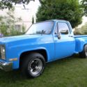1982 Chevy C 10 Step side 2 X 4 , Big block 454, Auto