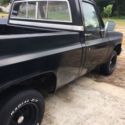 1982 Chevy C10 &#034; great &#034;SOUTHERN PROJECT TRUCK (SOLID BODY) &#034;NO MOTOR OR TRANNY&#034;