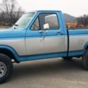 1982 Ford F-150 Custom Standard Cab Pickup 2-Door 4.9L