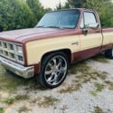 1982 GMC C1500 Pickup Brown RWD Automatic Sierra