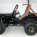 1982 Jeep CJ 4WD CJ5 CUSTOM 0 Black  6 Manual