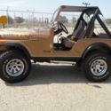 1982 Jeep CJ5 Golden Eagle Nut and bolt restored