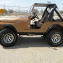 1982 Jeep CJ5 Golden Eagle Tribute CJ
