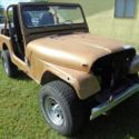 1982 JEEP CJ7 JAMBOREE EDITION #290  RARE