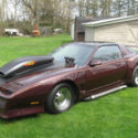 1982 PONTIAC FIREBIRD T TOP