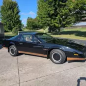 1982 PONTIAC TRANS AM SURVIVOR