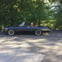 1983 Alfa Spider with low miles