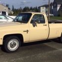 1983 Chevrolet C10 SCOTTSDALE 2wd LWB pickup NO RESERVE