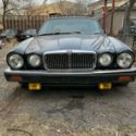 1983 Jaguar XJ6  Black/ Saddle