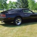 1983 Pontiac Firebird - special factory order;1 owner;excellent condition
