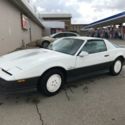 1983 Pontiac Trans Am Daytona 500