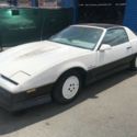 1983 Pontiac Trans Am Indy 500 Pace car