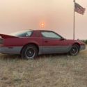 1983 Trans Am MSE #123 Motor Sports Edition No Reserve..