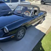 1984 Alfa Romeo Spider Black 2000 SPIDER