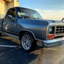 1984 DODGE D-150 RAM REG CAB 4X2 - 36 YEARS SAME FAMILY OWNED - A TRUE 1 OWNER